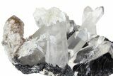 Quartz Crystals On Sparkling Bladed Hematite - See Video! #163975-1
